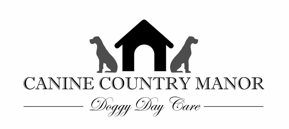 Country doggie day store spa